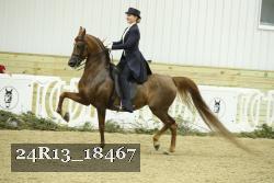 24R13_18467 thumbnail