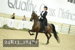 24R13_18470 thumbnail