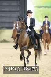 24R13_18473 thumbnail