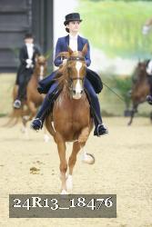 24R13_18476 thumbnail