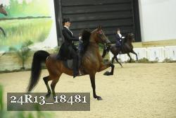 24R13_18481 thumbnail
