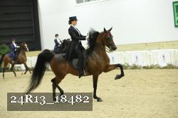 24R13_18482 thumbnail