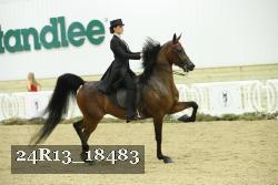 24R13_18483 thumbnail