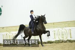 24R13_18484 thumbnail