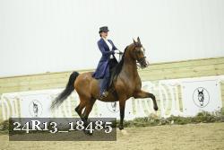 24R13_18485 thumbnail