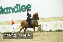 24R13_18486 thumbnail