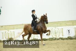 24R13_18487 thumbnail