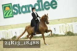24R13_18488 thumbnail