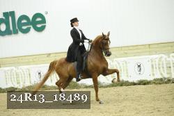 24R13_18489 thumbnail