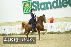 24R13_18491 thumbnail