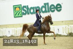 24R13_18492 thumbnail