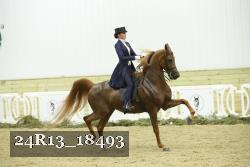 24R13_18493 thumbnail