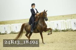 24R13_18494 thumbnail
