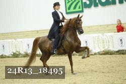 24R13_18495 thumbnail