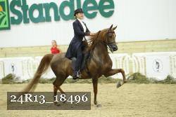24R13_18496 thumbnail