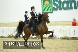 24R13_18498 thumbnail