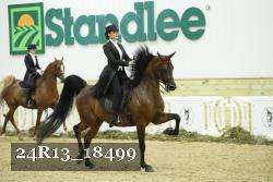 24R13_18499 thumbnail
