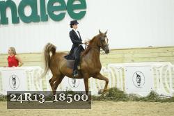 24R13_18500 thumbnail