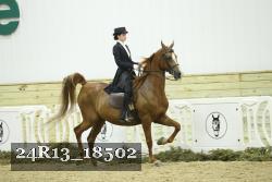24R13_18502 thumbnail