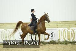 24R13_18503 thumbnail