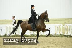 24R13_18504 thumbnail