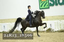 24R13_18506 thumbnail