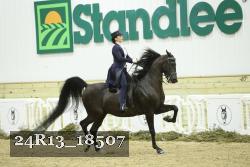 24R13_18507 thumbnail