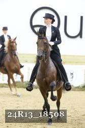 24R13_18508 thumbnail