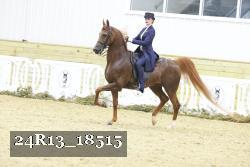 24R13_18515 thumbnail