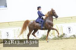 24R13_18516 thumbnail