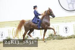 24R13_18517 thumbnail