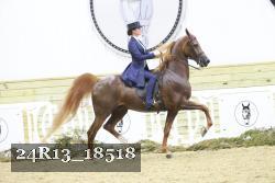 24R13_18518 thumbnail