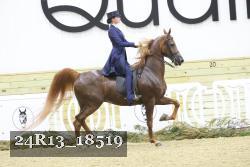 24R13_18519 thumbnail