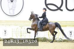 24R13_18520 thumbnail