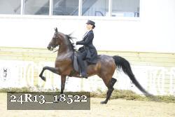 24R13_18522 thumbnail