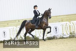 24R13_18523 thumbnail