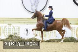 24R13_18524 thumbnail