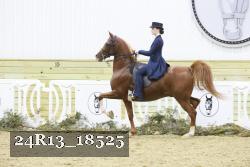 24R13_18525 thumbnail