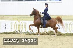 24R13_18526 thumbnail