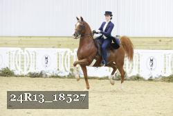 24R13_18527 thumbnail