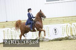 24R13_18528 thumbnail