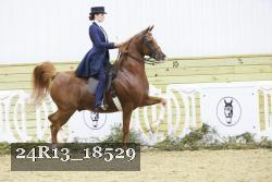 24R13_18529 thumbnail