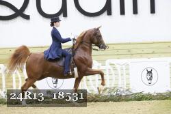 24R13_18531 thumbnail