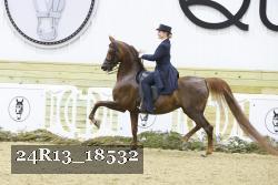 24R13_18532 thumbnail