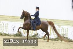 24R13_18533 thumbnail