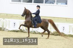 24R13_18534 thumbnail