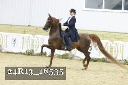 24R13_18535 thumbnail