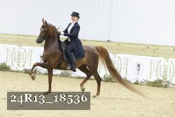 24R13_18536 thumbnail