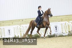 24R13_18537 thumbnail