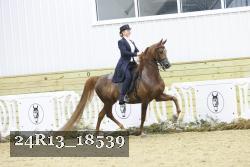 24R13_18539 thumbnail